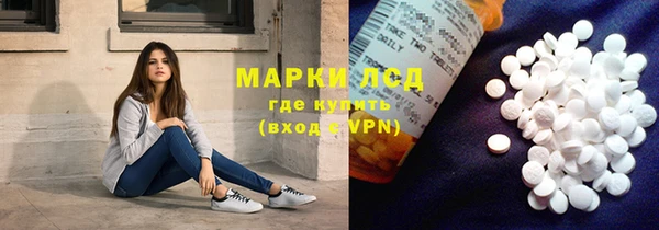 стафф Алзамай