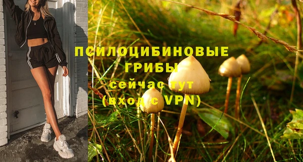 стафф Алзамай