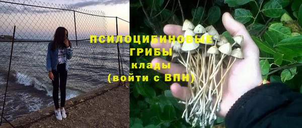 стафф Алзамай