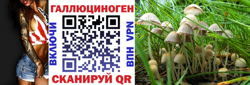 закладки  блэк спрут ТОР  Галлюциногенные грибы мицелий  Курлово 